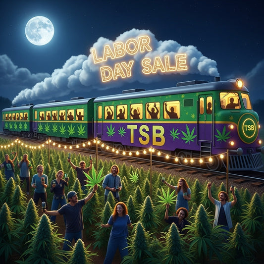 All Aboard The TSB LDW Train!