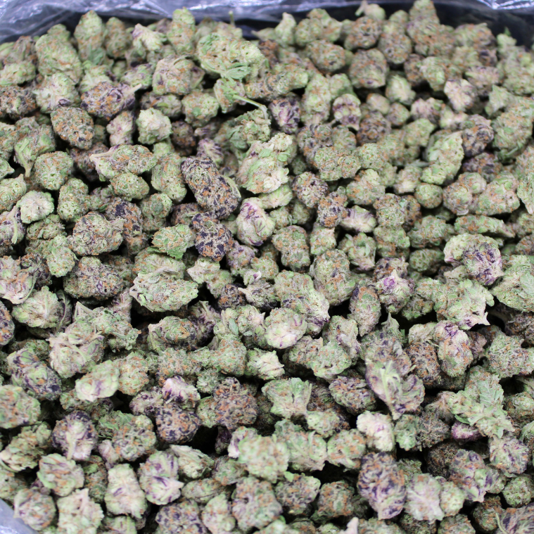 9 LB Hammer Exotic THCA Flower