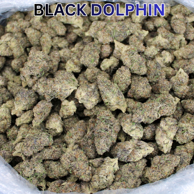 Exotic Indoor Express THCA Flower (7 Grams)