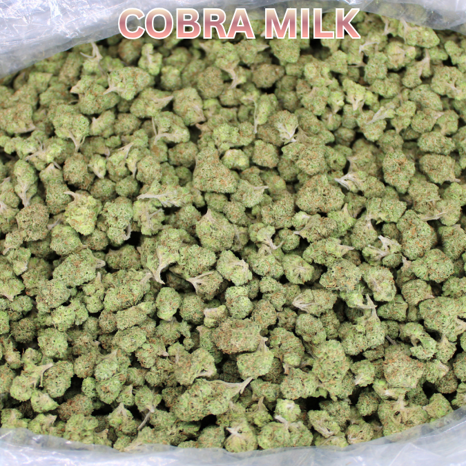 Bulk Indoor THCA Smalls