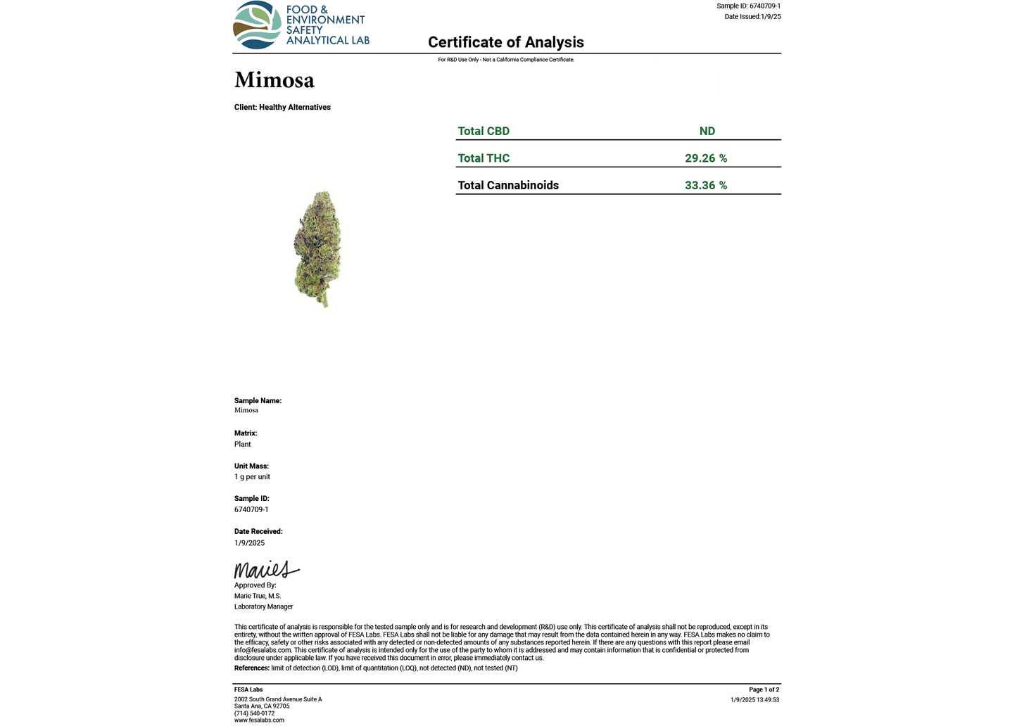 Mimosa THCA Flower