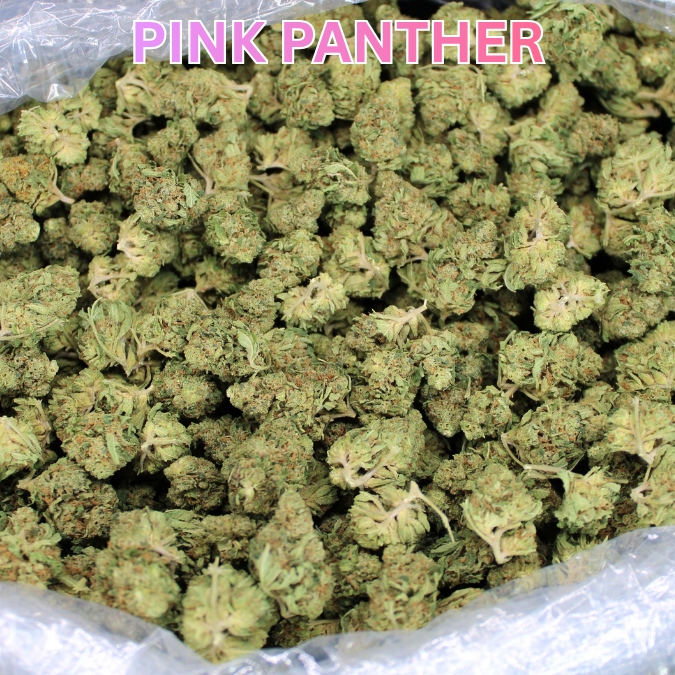Cheap THCA Smalls Pound