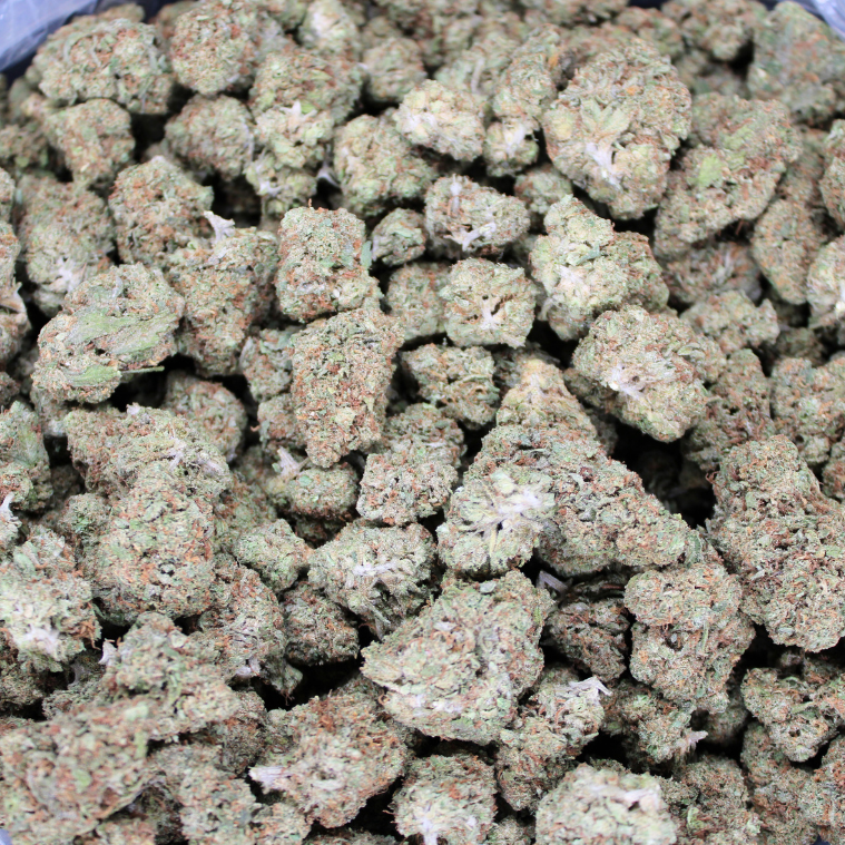 Acapulco Gold THCA Flower