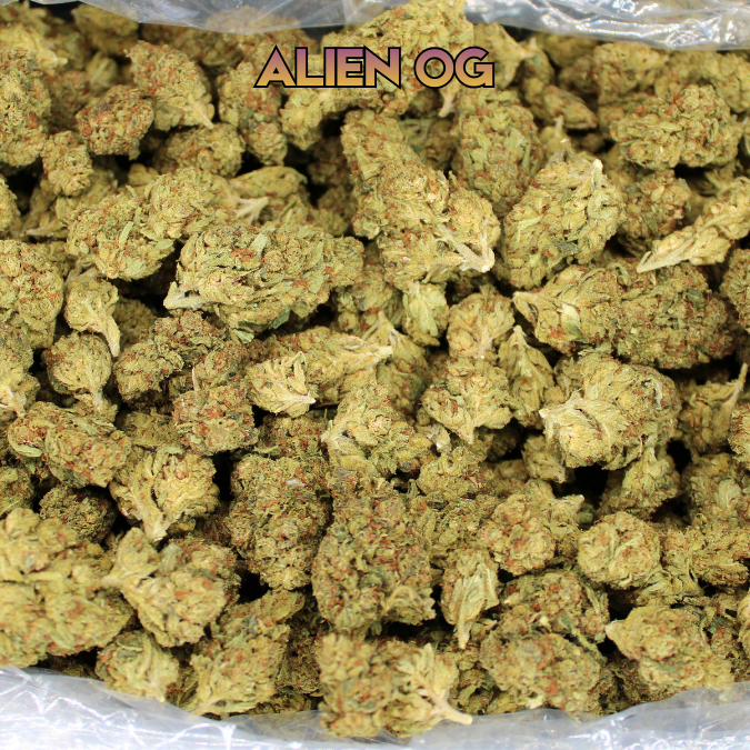 Cheap THCA Flower Ounce