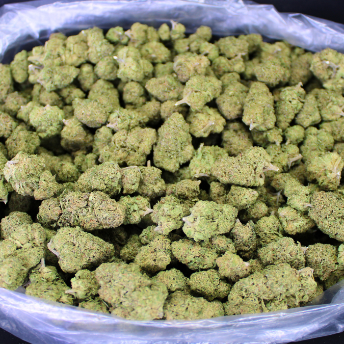 THCA Queen