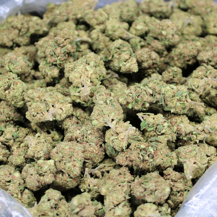 Cheap THCA Flower Half Pound