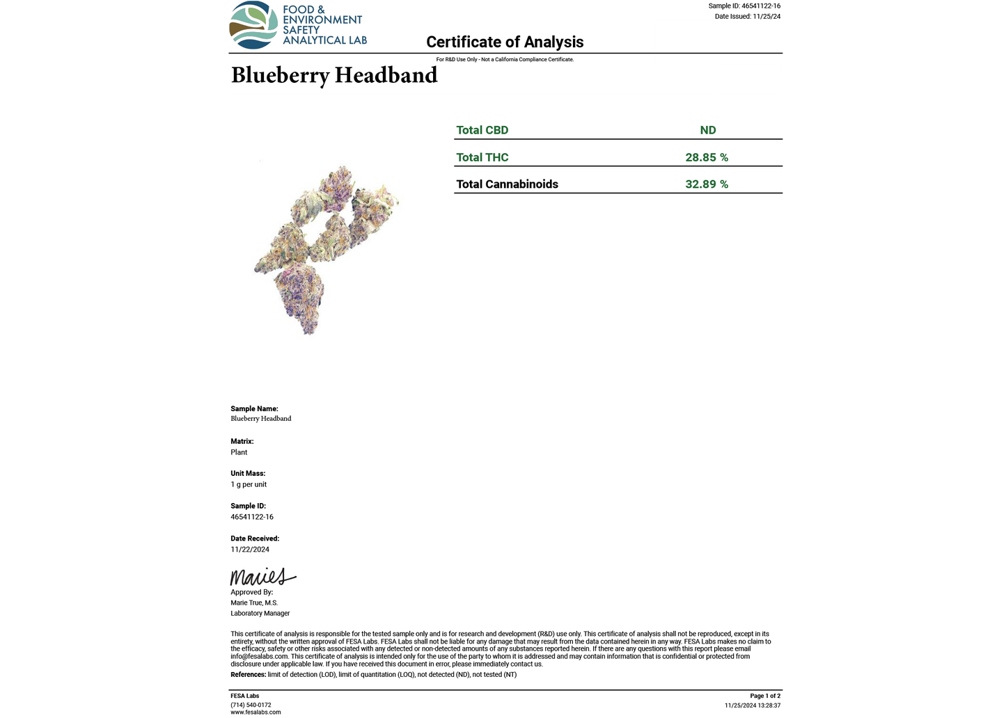 Blueberry Headband Exotic THCA Flower