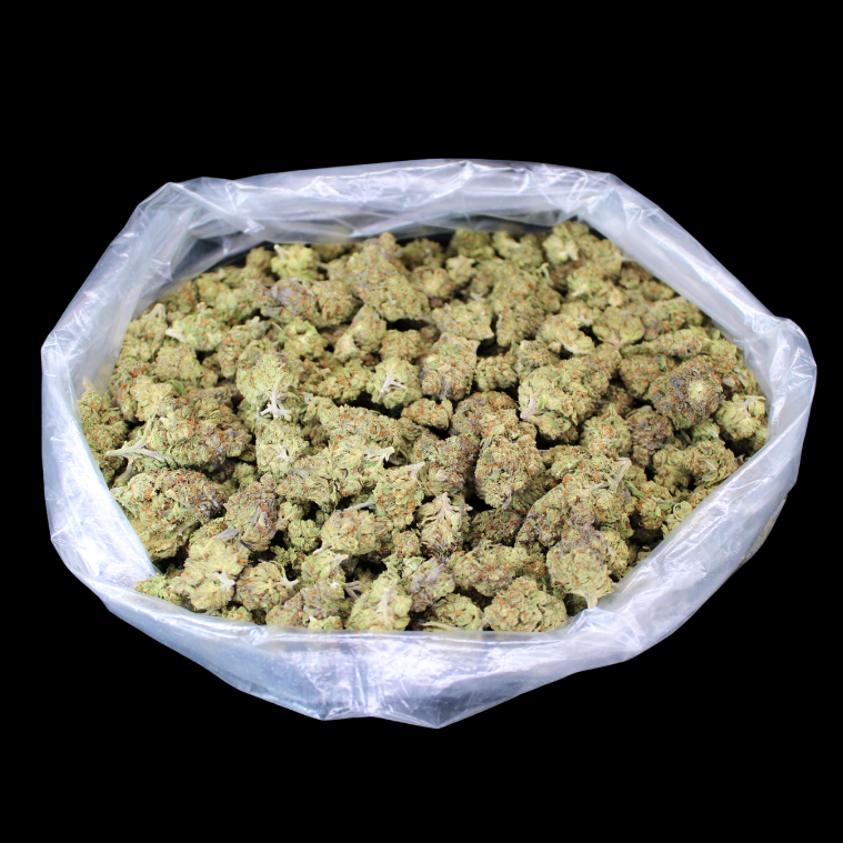 Biscotti THCA Flower