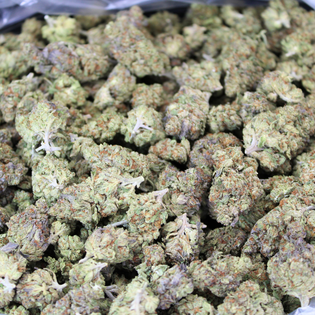 Biscotti THCA Flower