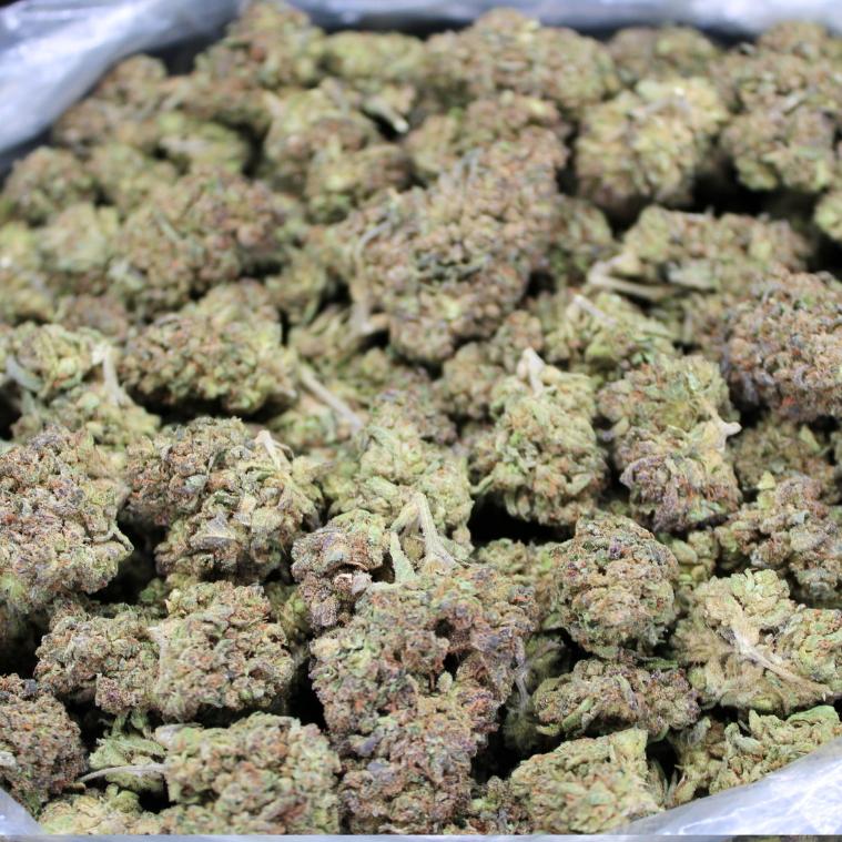 Cheap THCA Flower Half Pound