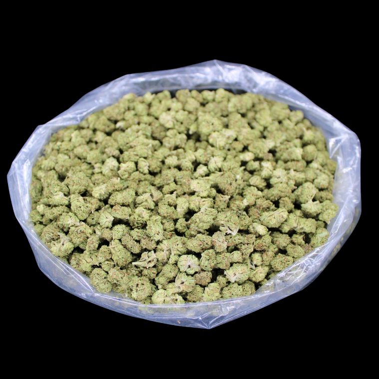 Blue Nerds THCA Flower