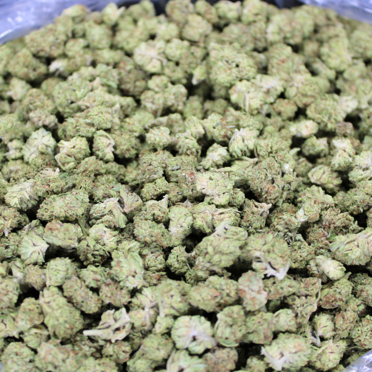 Blue Nerds THCA Flower