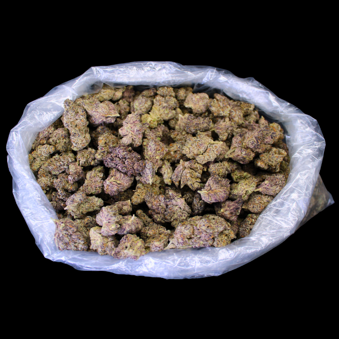 Purple Reign Indoor THCA Flower