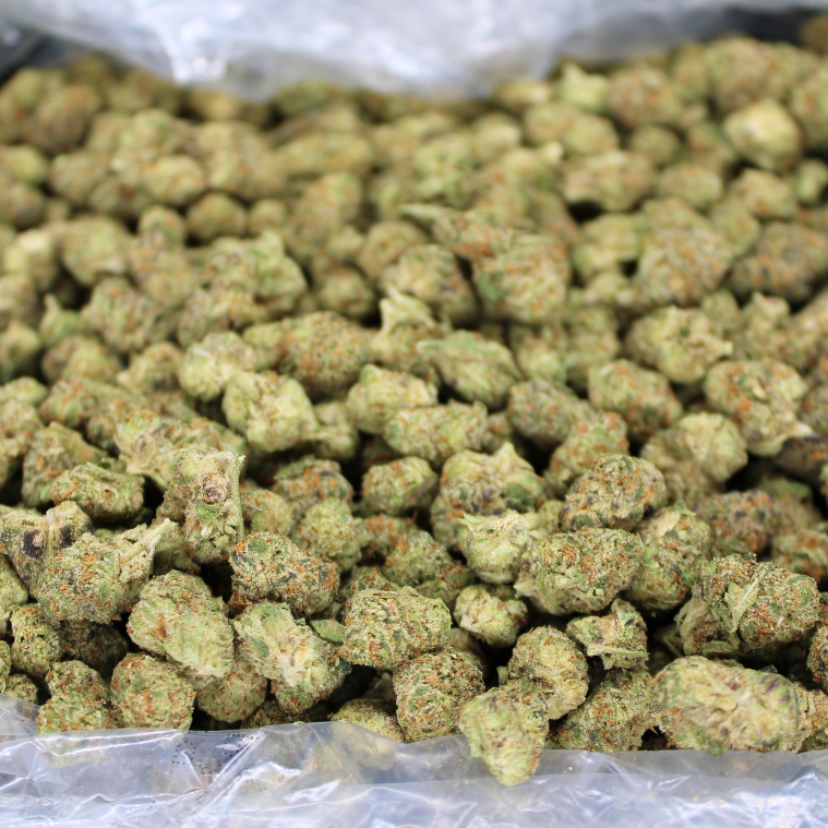 Cheap THCA Flower Ounce