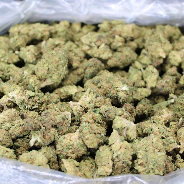 Cheap THCA Flower Pound