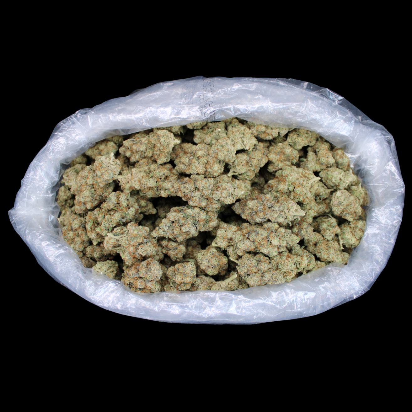 China White Exotic THCA Flower