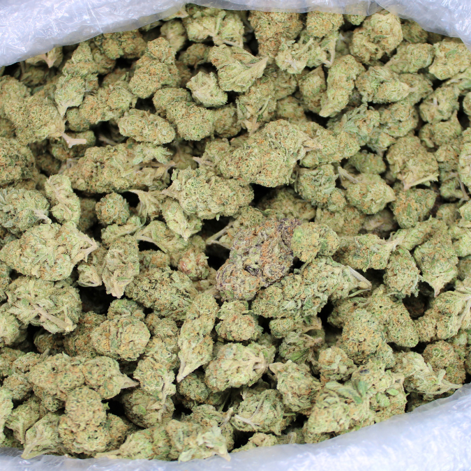 Colombian Gold THCA Flower