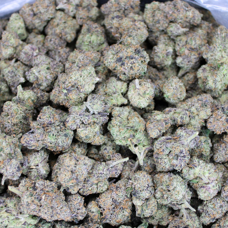 Dank Chocolate Chip Exotic THCA Flower
