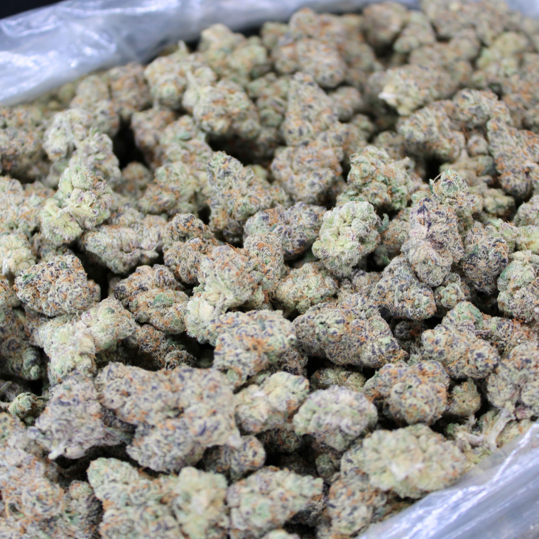 Dank Dynasty Exotic THCA Flower
