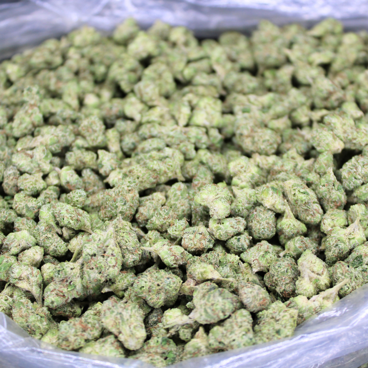 Dank Gelato THCA Flower