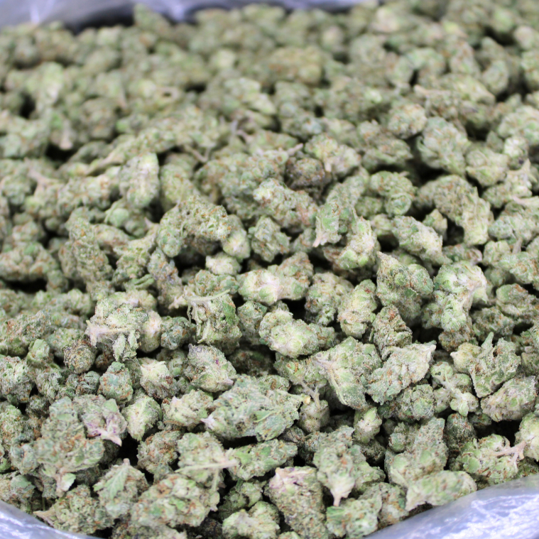 Dank Glue THCA Flower