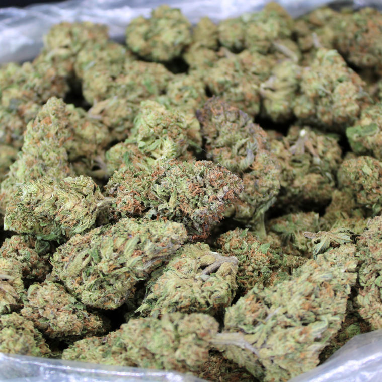 Dank Cookies THCA Flower