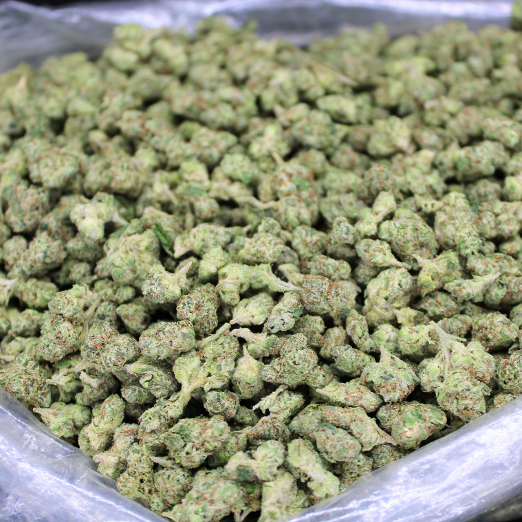 Dank Kush THCA Flower