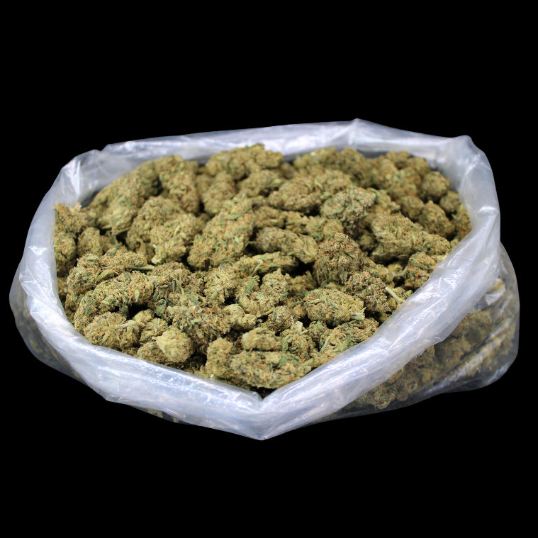 Dante's Inferno THCA Flower