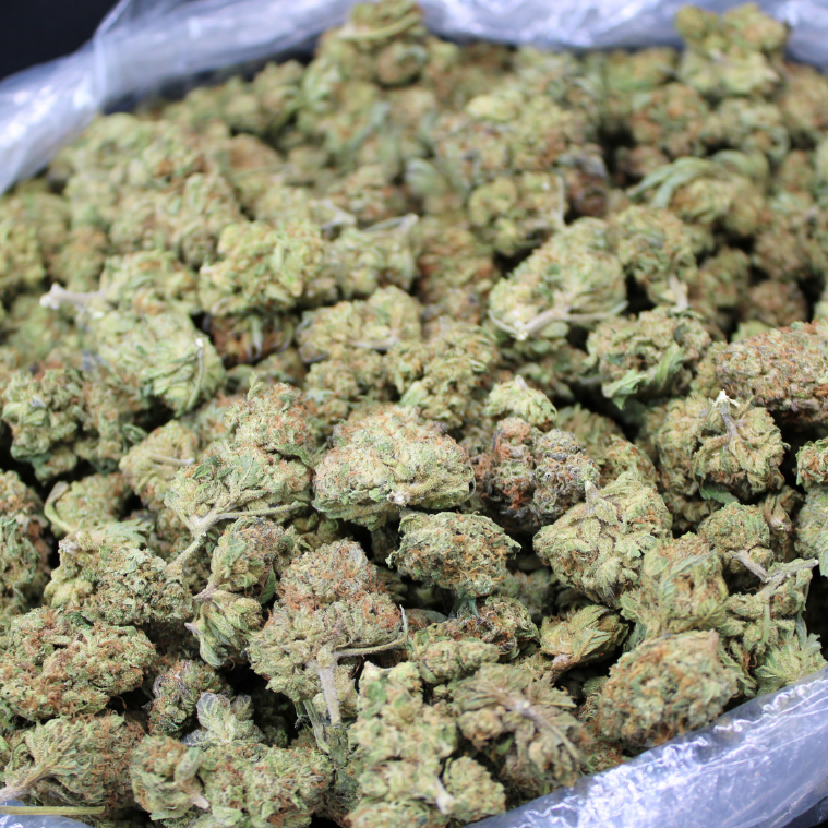 Do-Si-Dos THCA Flower