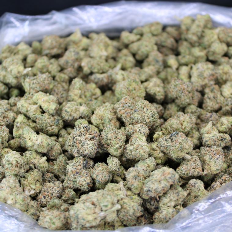 G41 THCA Flower