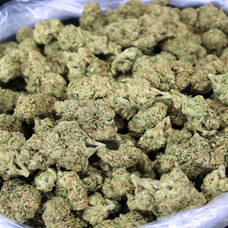 Gary Payton THCA Flower
