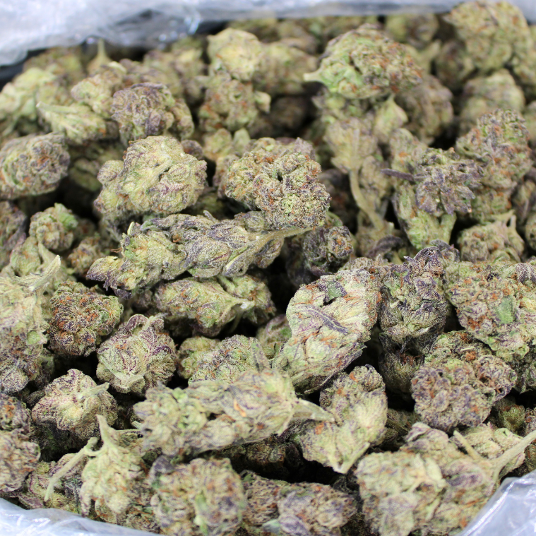 GDP THCA Flower
