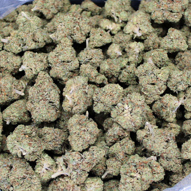 GDP THCA Flower