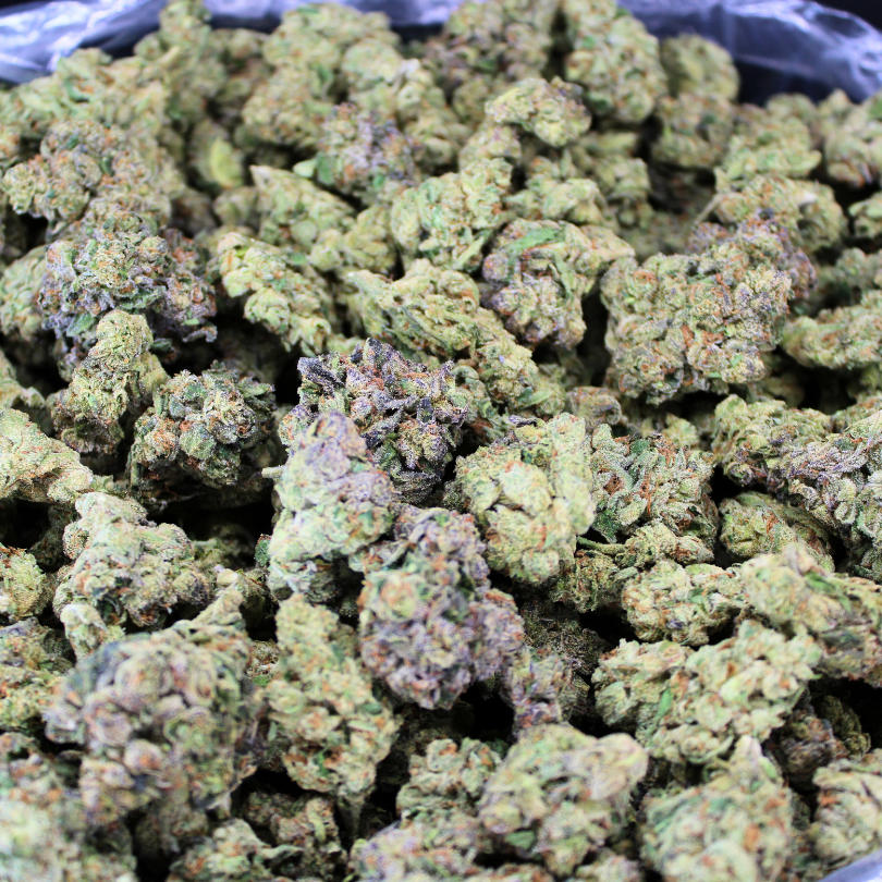 Glitter Bomb Exotic THCA Flower