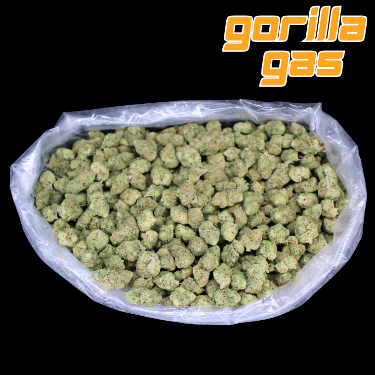Gorilla Glue THCA Flower