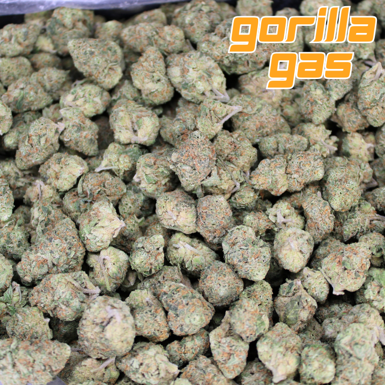 Gorilla Glue THCA Flower