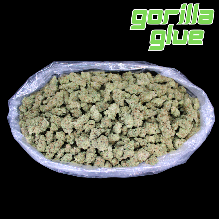 Gorilla Glue THCA Flower