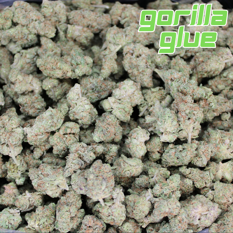 Gorilla Glue THCA Flower