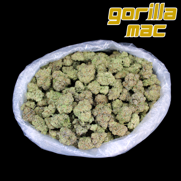 Gorilla Glue THCA Flower