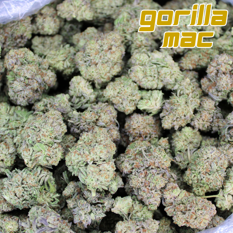 Gorilla Glue THCA Flower