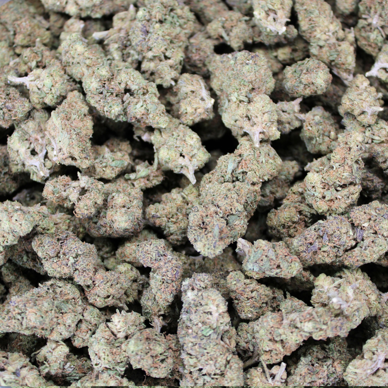 Gotti OG THCA Don Flower