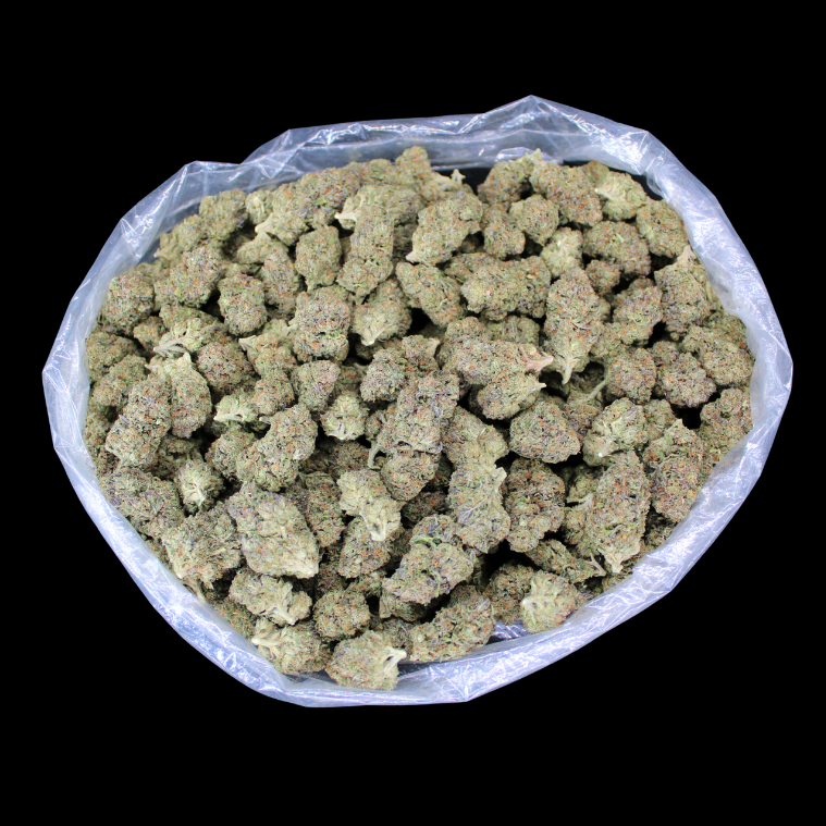 Gotti OG THCA Don Flower