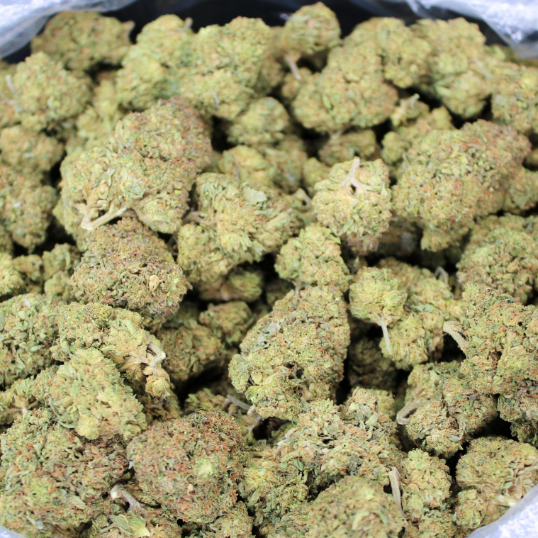 Cheap THCA Flower Pound