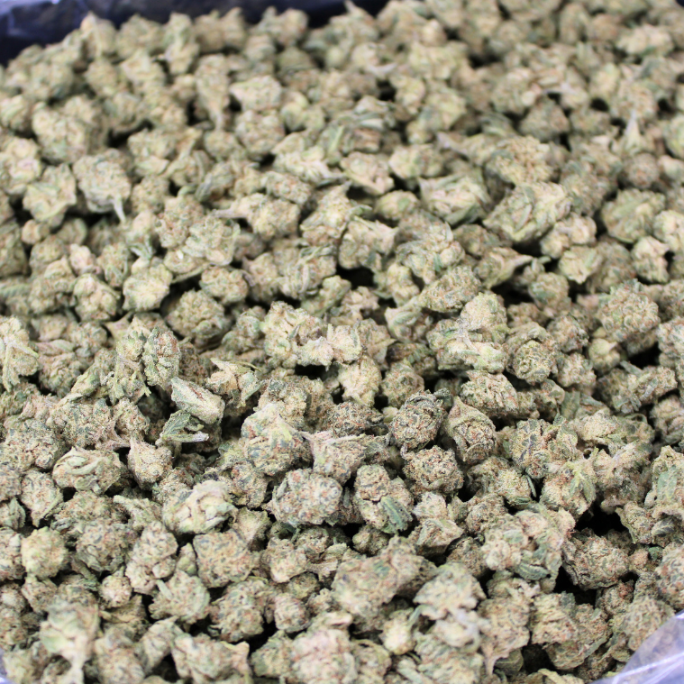 Grape Stomper THCA Flower