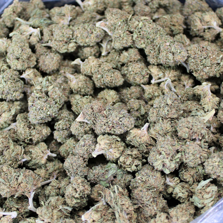 Guava Cake THCA Flower