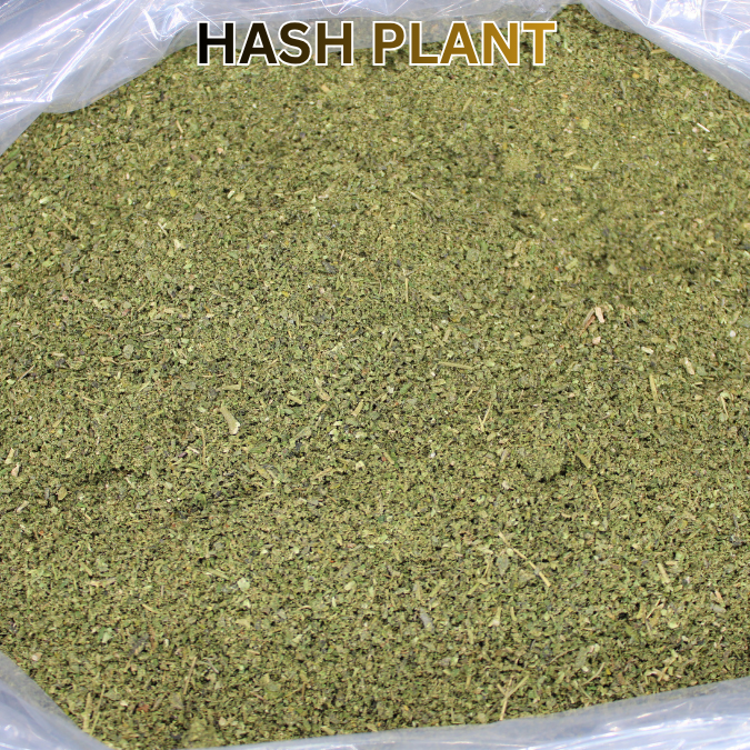 Hash Plant THCA Kief Trim