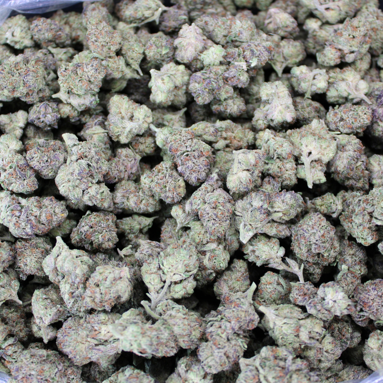 Horchata THCA Flower