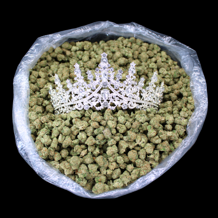 THCA Queen