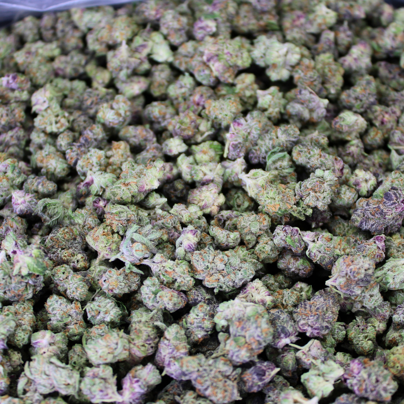 Italian Ice Exotic THCA Flower