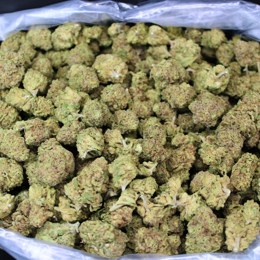 Jealousy Exotic THCA Flower